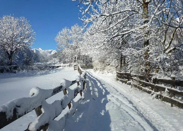 Lejlighed Kogelblick